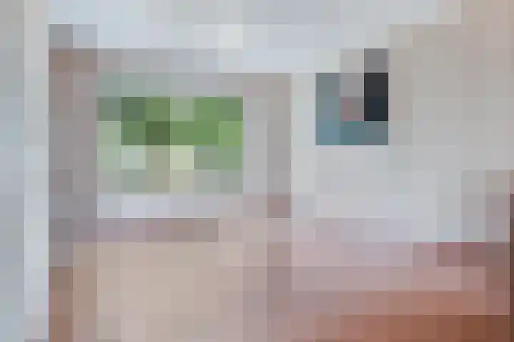 Christiaan van Abkoudestraat 32 Volendam thumbnail 6