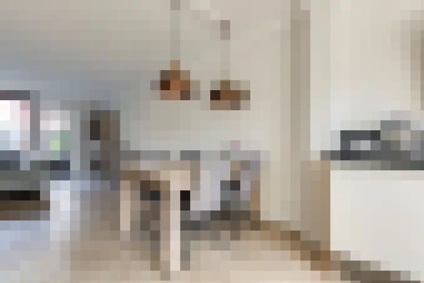 Christiaan van der Takstraat 119 Bergschenhoek thumbnail 13