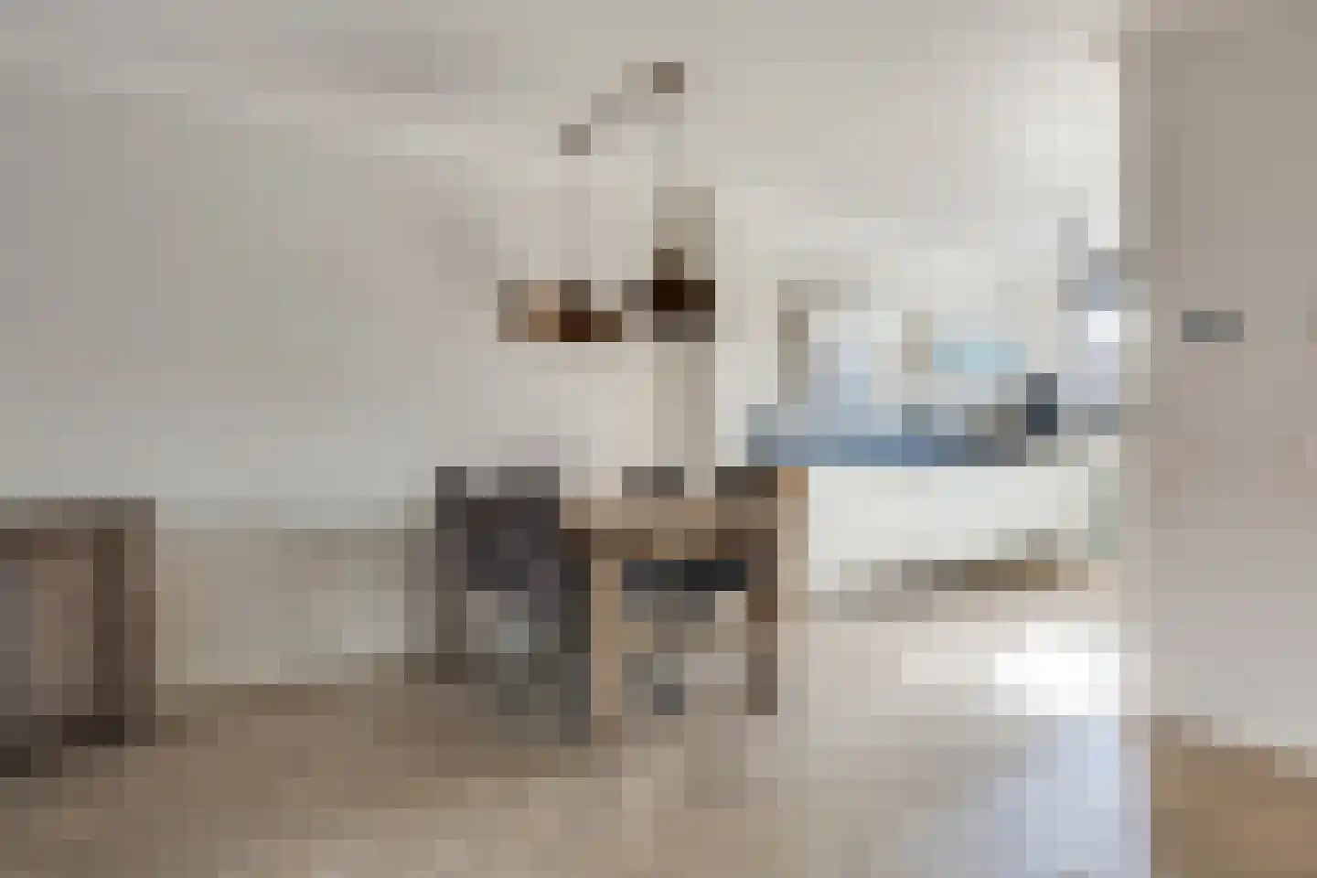 Christiaan van der Takstraat 119 Bergschenhoek thumbnail 14