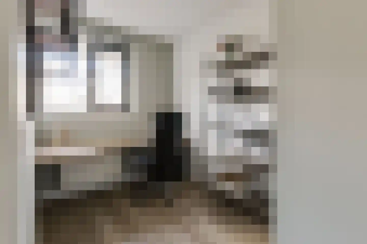 Christiaan van der Takstraat 119 Bergschenhoek thumbnail 22