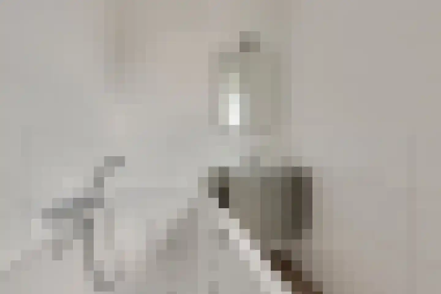 Christiaan van der Takstraat 119 Bergschenhoek thumbnail 30