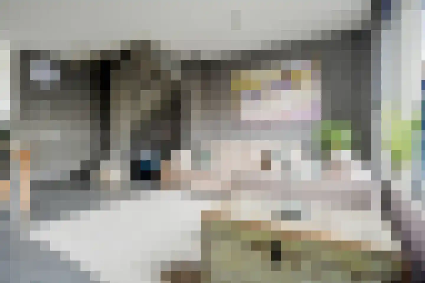 Christiaan van der Takstraat 139 Bergschenhoek thumbnail 14