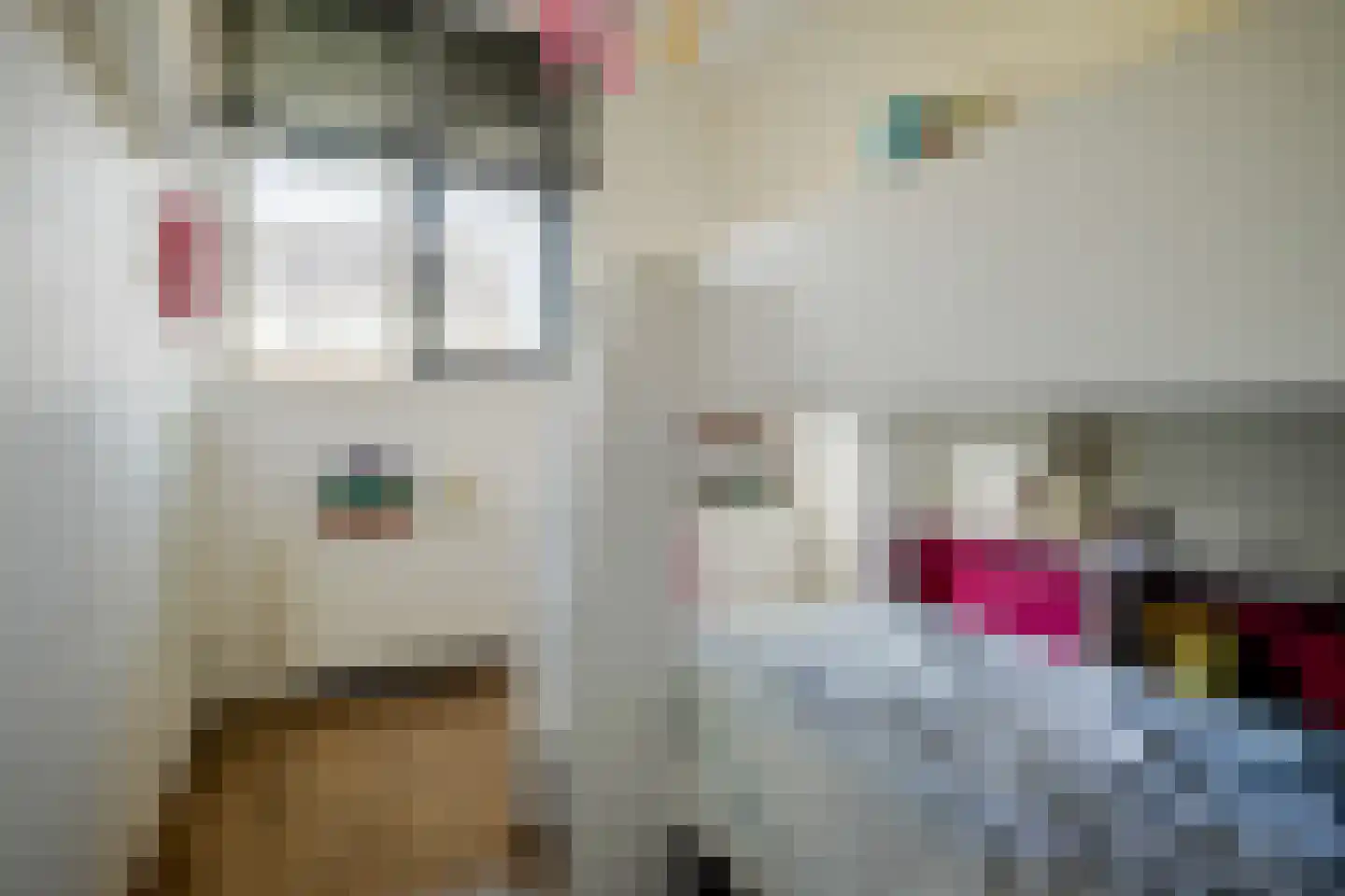Christiaan van der Takstraat 139 Bergschenhoek thumbnail 26