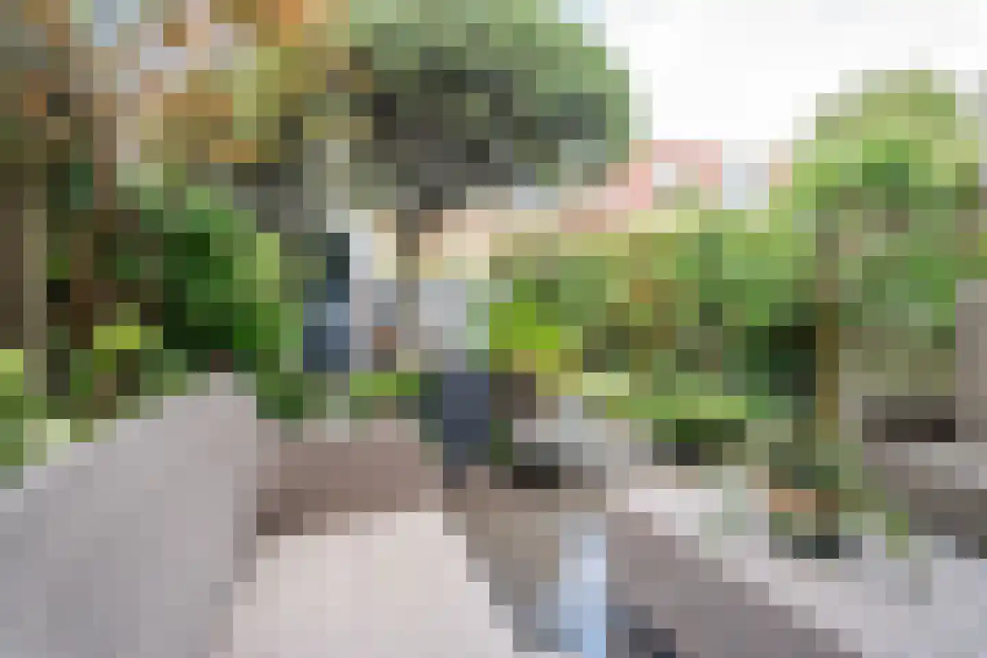 Christiaan van der Takstraat 139 Bergschenhoek thumbnail 36