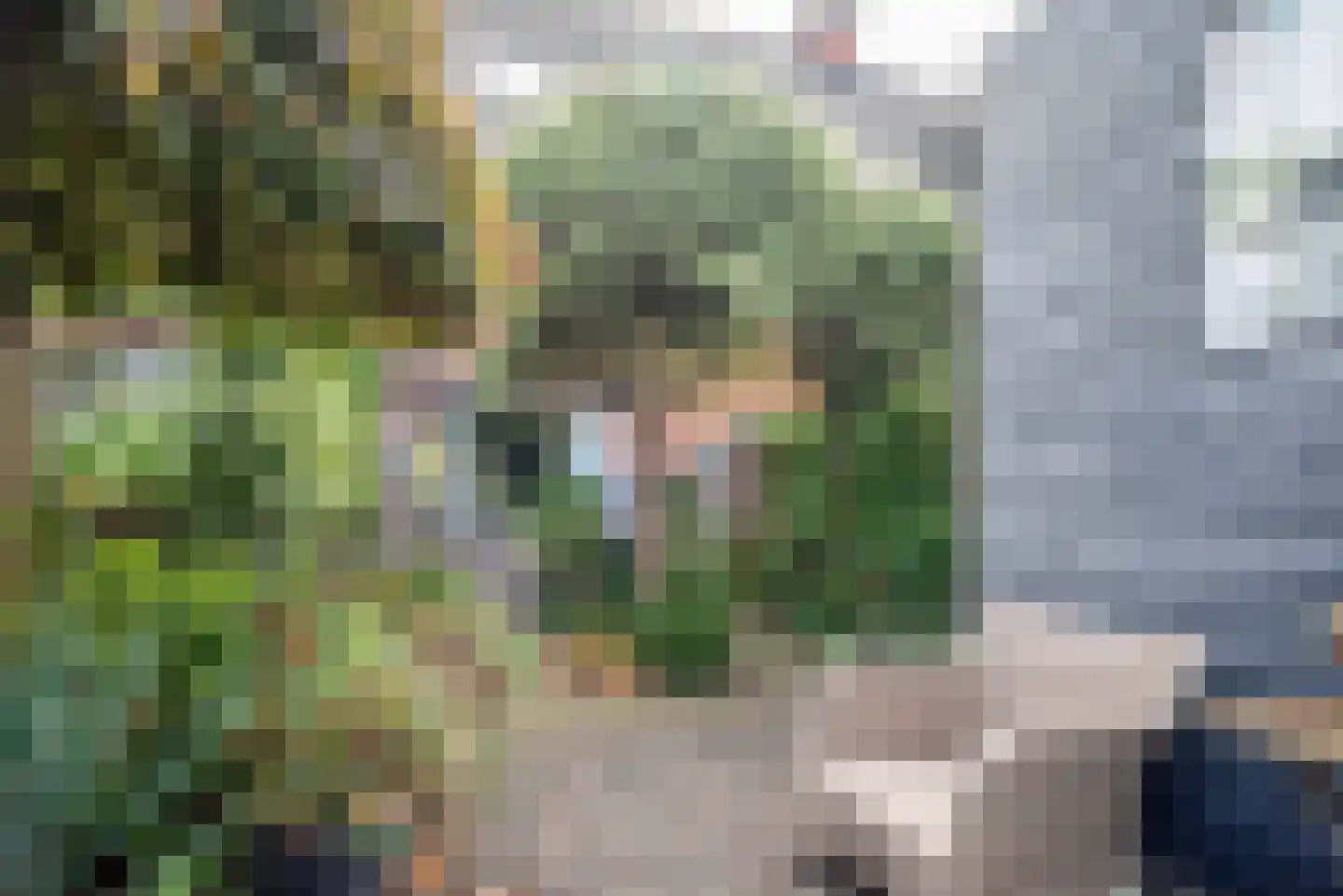 Christiaan van der Takstraat 139 Bergschenhoek thumbnail 38