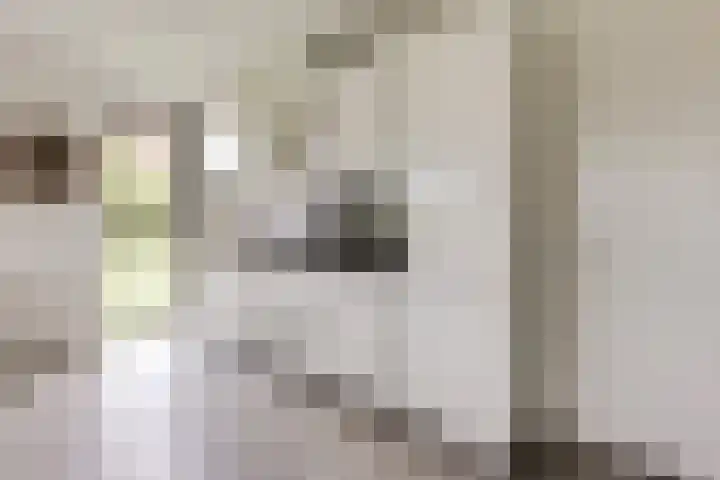 Christiaan van der Takstraat 157 Bergschenhoek thumbnail 15