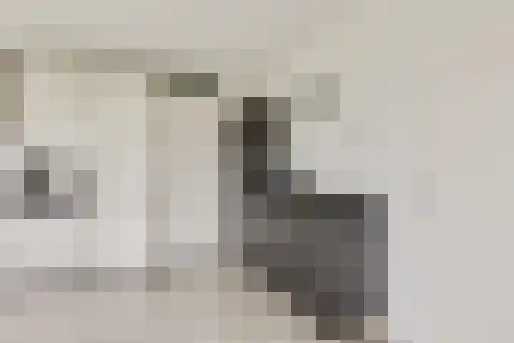 Christiaan van der Takstraat 157 Bergschenhoek thumbnail 16