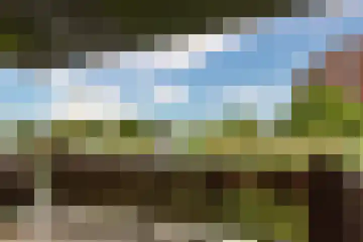 Christiaan van der Takstraat 157 Bergschenhoek thumbnail 17