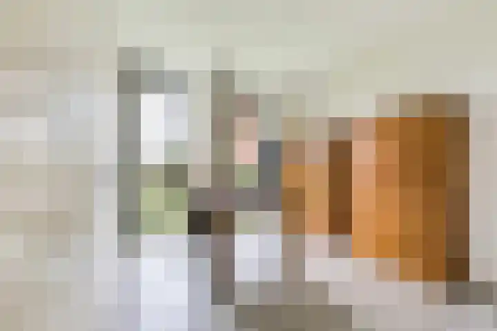 Christiaan van der Takstraat 157 Bergschenhoek thumbnail 21
