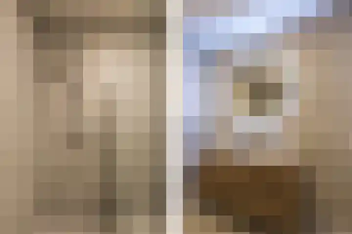Christiaan van der Takstraat 157 Bergschenhoek thumbnail 24