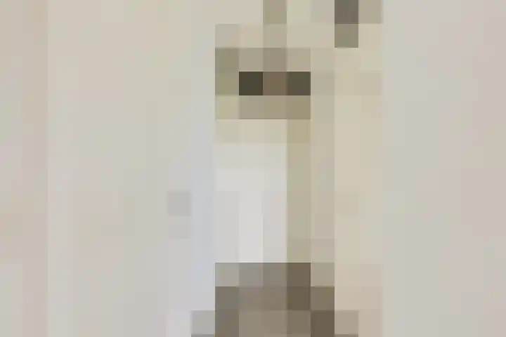 Christiaan van der Takstraat 157 Bergschenhoek thumbnail 25