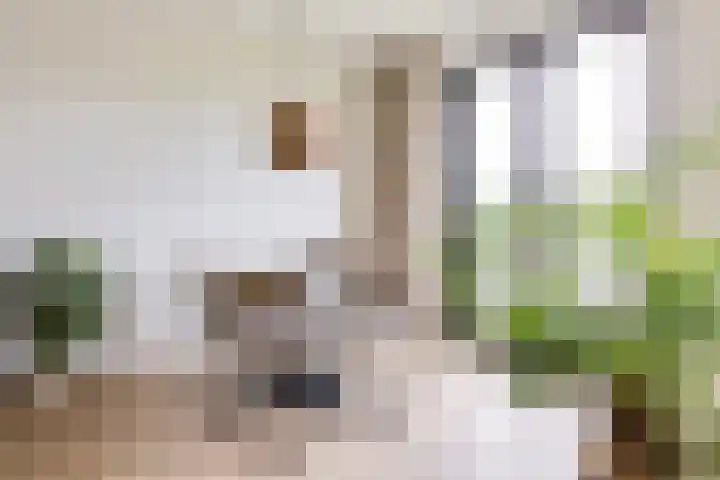 Christiaan van der Takstraat 179 Bergschenhoek thumbnail 10