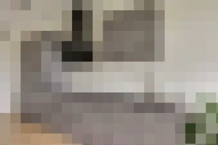 Christiaan van der Takstraat 179 Bergschenhoek thumbnail 11