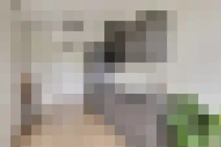 Christiaan van der Takstraat 179 Bergschenhoek thumbnail 12