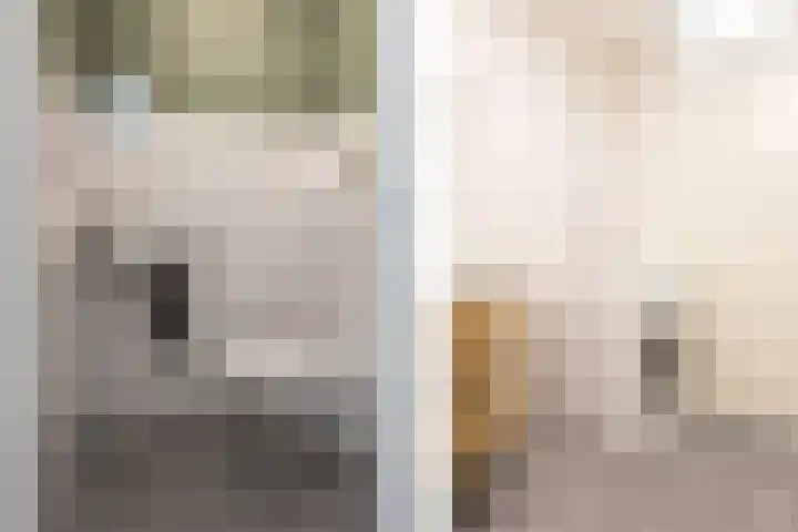 Christiaan van der Takstraat 179 Bergschenhoek thumbnail 20
