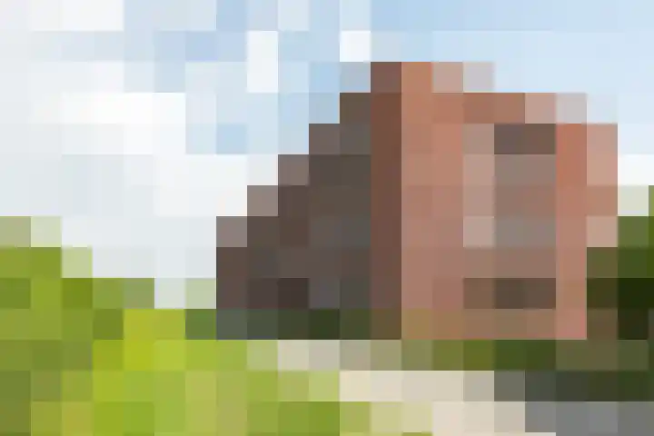 Christiaan van der Takstraat 179 Bergschenhoek thumbnail 21