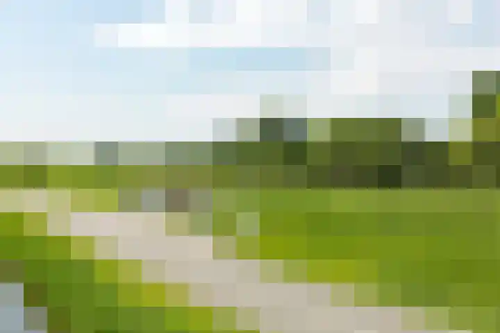 Christiaan van der Takstraat 179 Bergschenhoek thumbnail 22