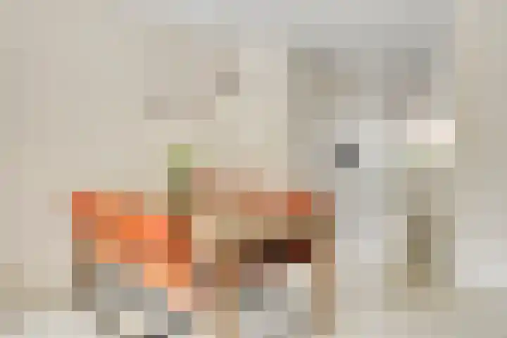 Christiaan van der Takstraat 74 Bergschenhoek thumbnail 11