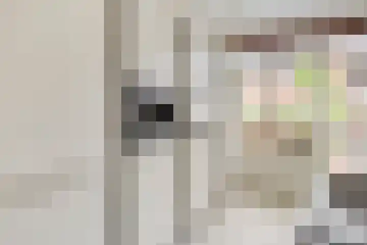 Christiaan van der Takstraat 74 Bergschenhoek thumbnail 12