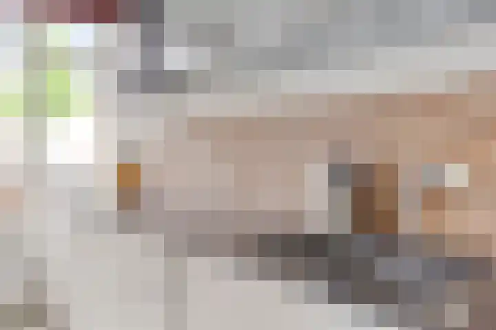 Christiaan van der Takstraat 74 Bergschenhoek thumbnail 13