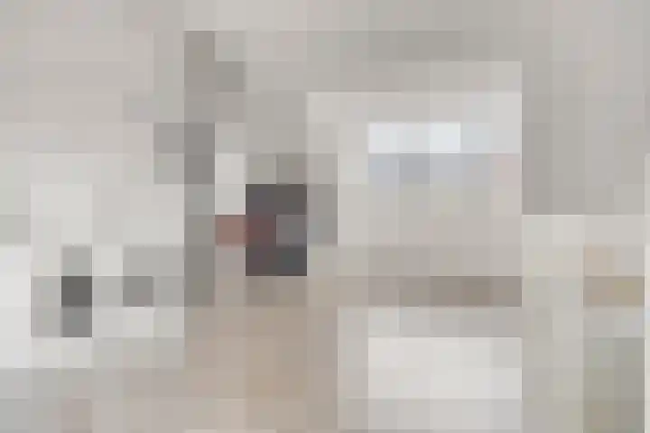 Christiaan van der Takstraat 74 Bergschenhoek thumbnail 31