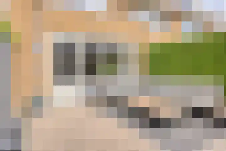 Christiaan van der Takstraat 74 Bergschenhoek thumbnail 32