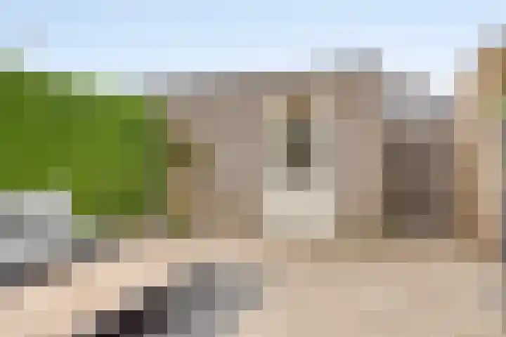 Christiaan van der Takstraat 74 Bergschenhoek thumbnail 34