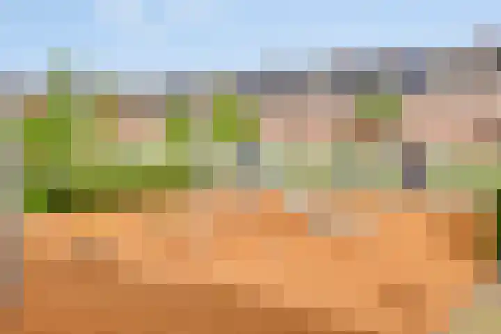 Christiaan van der Takstraat 74 Bergschenhoek thumbnail 35
