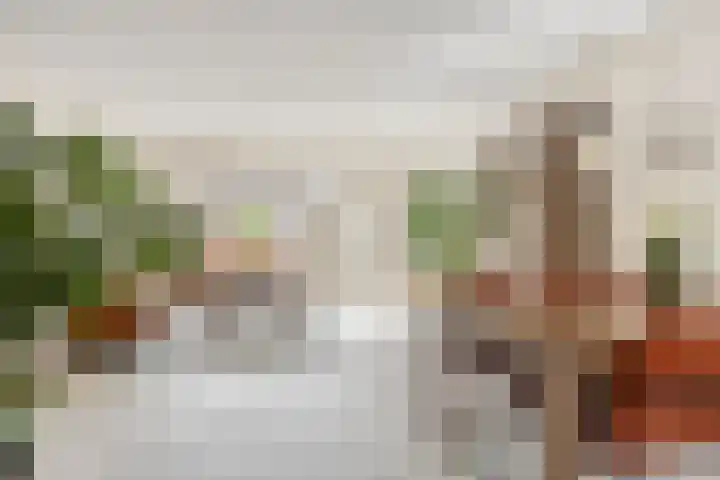 Christiaan van der Takstraat 74 Bergschenhoek thumbnail 7