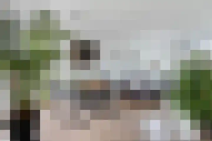 Christiaan van Saarloosstraat 11 Franeker thumbnail 12
