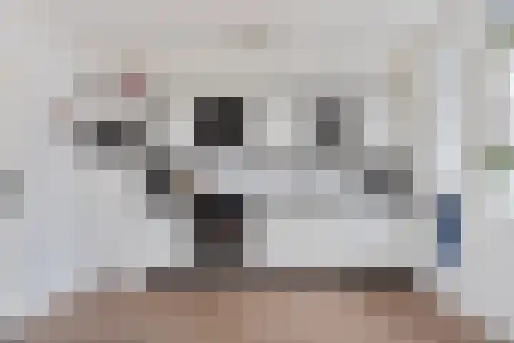 Christiaan van Saarloosstraat 11 Franeker thumbnail 14