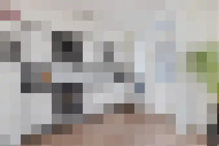 Christiaan van Saarloosstraat 11 Franeker thumbnail 15