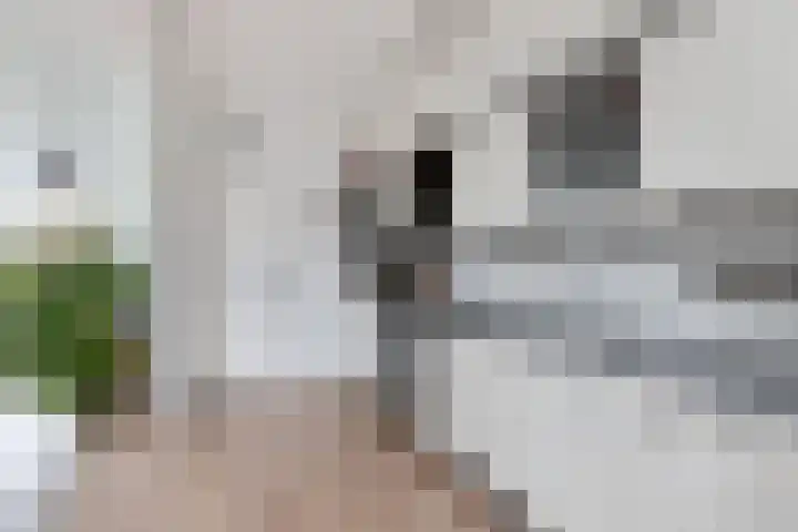 Christiaan van Saarloosstraat 11 Franeker thumbnail 16