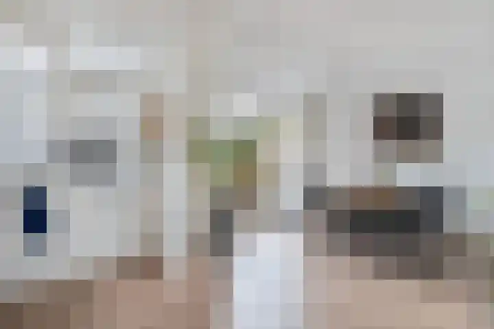 Christiaan van Saarloosstraat 11 Franeker thumbnail 17