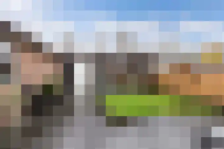Christiaan van Saarloosstraat 11 Franeker thumbnail 21