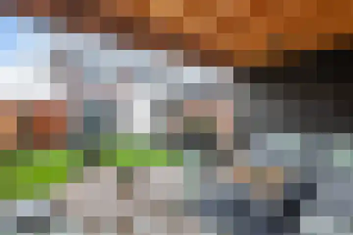 Christiaan van Saarloosstraat 11 Franeker thumbnail 24