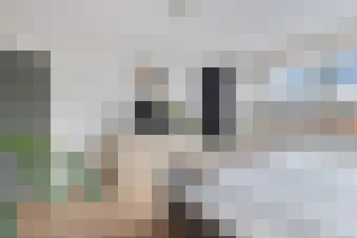 Christiaan van Saarloosstraat 11 Franeker thumbnail 32
