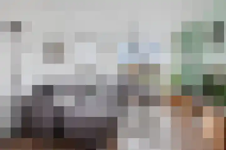 Christiaan van Saarloosstraat 11 Franeker thumbnail 8