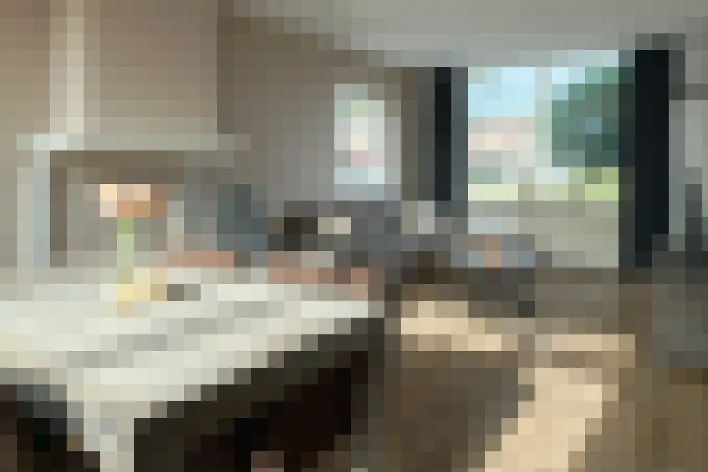 Christiaan van Saarloosstraat 9 Franeker thumbnail 10