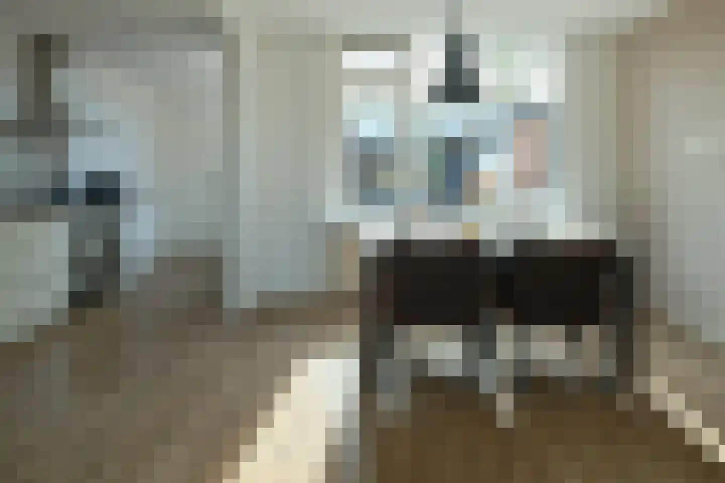Christiaan van Saarloosstraat 9 Franeker thumbnail 12