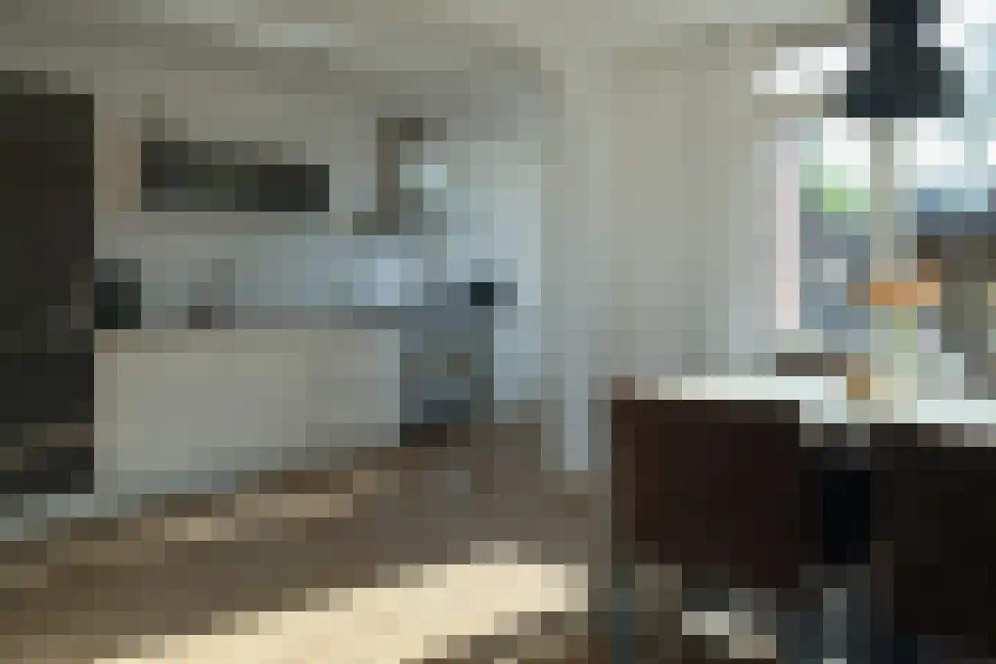 Christiaan van Saarloosstraat 9 Franeker thumbnail 13