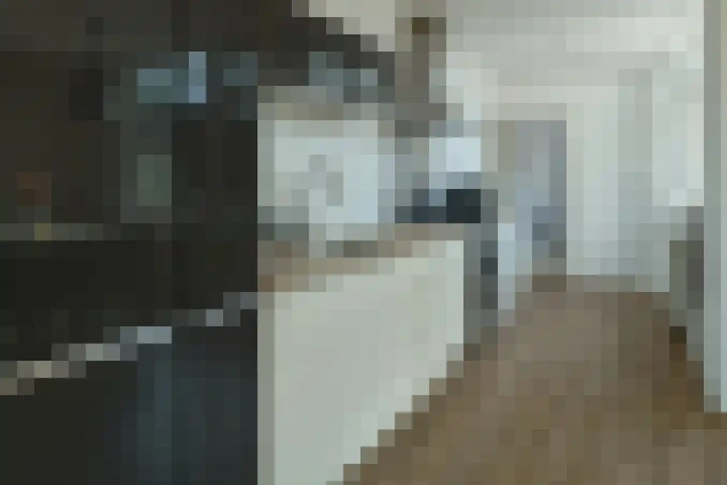 Christiaan van Saarloosstraat 9 Franeker thumbnail 16