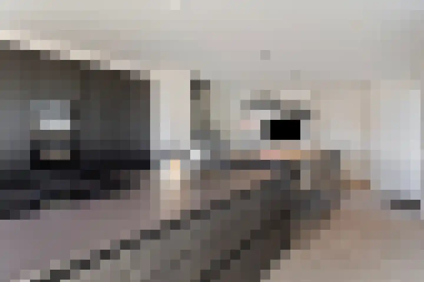 Christiaanpolderweg 1 Arnemuiden thumbnail 4