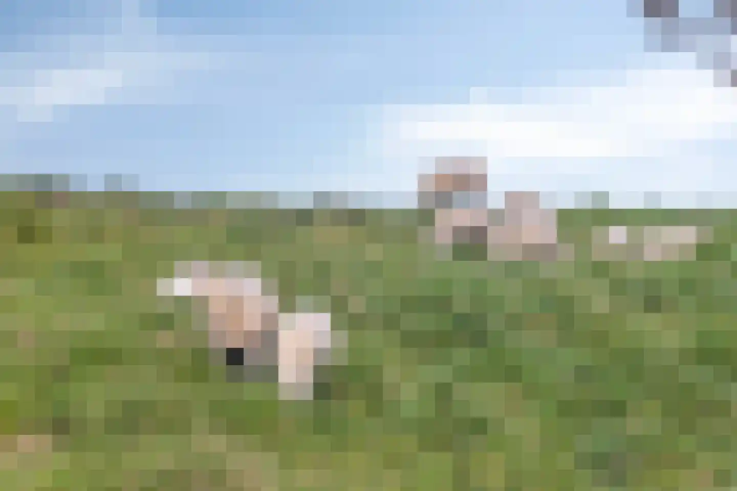 Christiaanpolderweg 1 Arnemuiden thumbnail 50