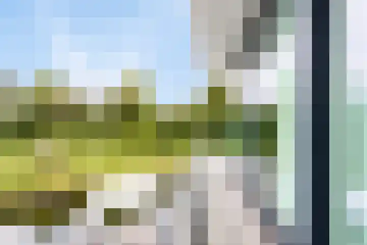 Christiaanpolderweg 18 Arnemuiden thumbnail 19