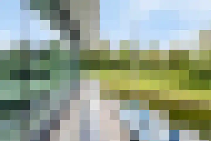 Christiaanpolderweg 18 Arnemuiden thumbnail 21