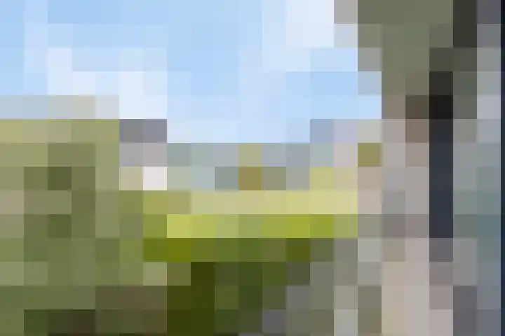 Christiaanpolderweg 18 Arnemuiden thumbnail 22