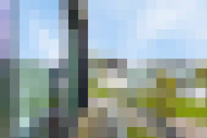 Christiaanpolderweg 18 Arnemuiden thumbnail 32