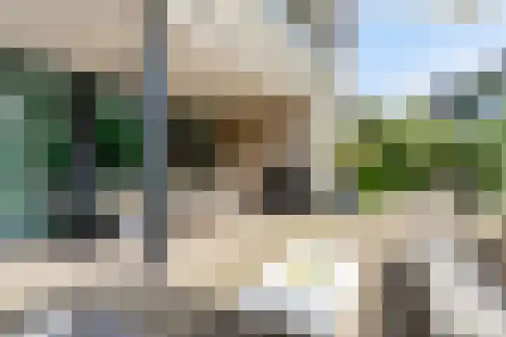 Christiaanpolderweg 18 Arnemuiden thumbnail 39