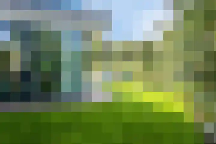 Christiaanpolderweg 18 Arnemuiden thumbnail 42